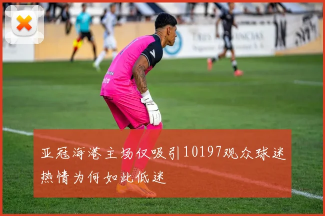 亚冠海港主场仅吸引10197观众球迷热情为何如此低迷