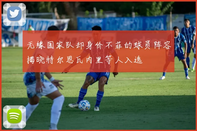 无缘国家队却身价不菲的球员阵容揭晓特尔恩瓦内里等人入选