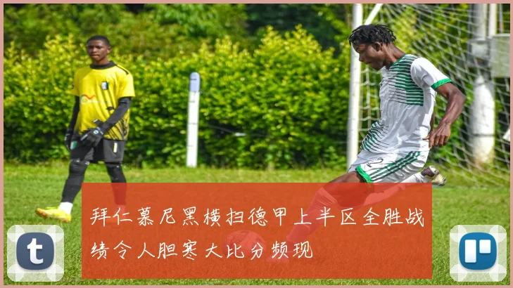 拜仁慕尼黑横扫德甲上半区全胜战绩令人胆寒大比分频现